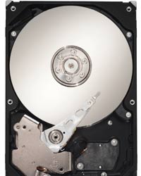 I use quality WD drives for 192+ bitrate mp3's